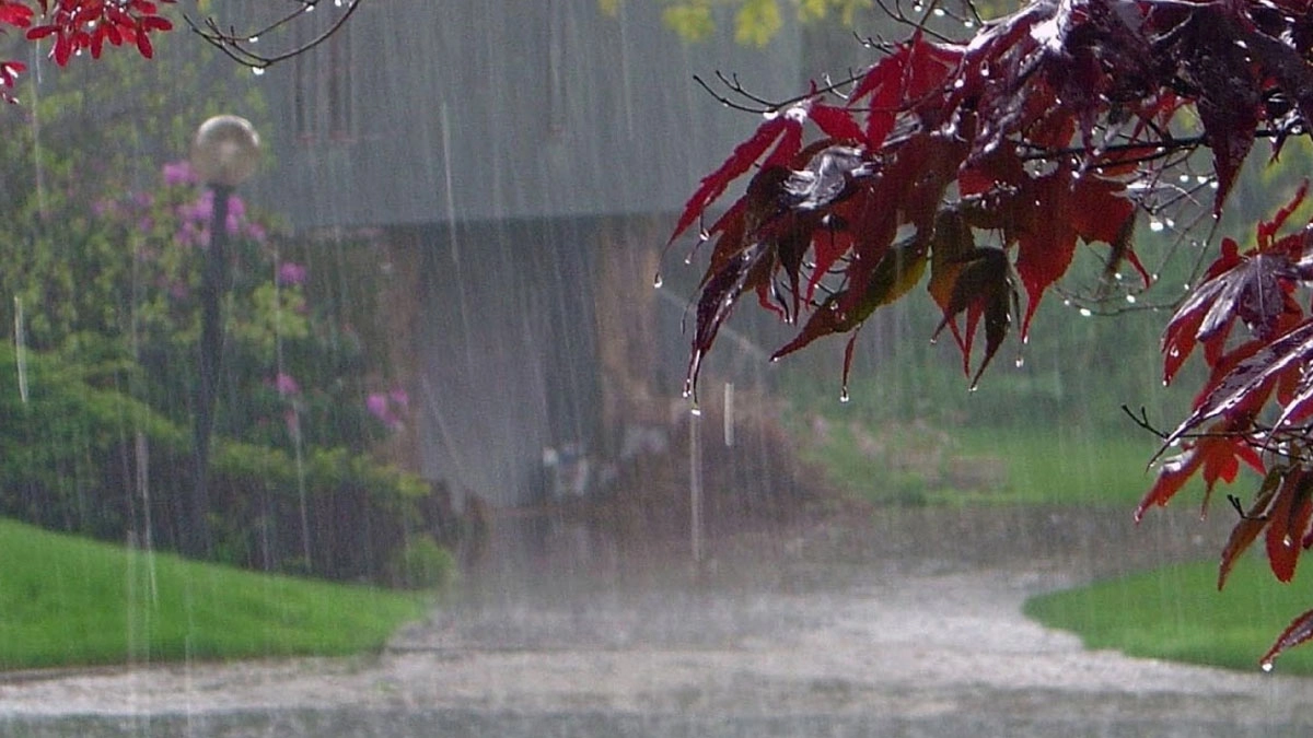 বৃষ্টি পড়ছে ঝিরঝিরে